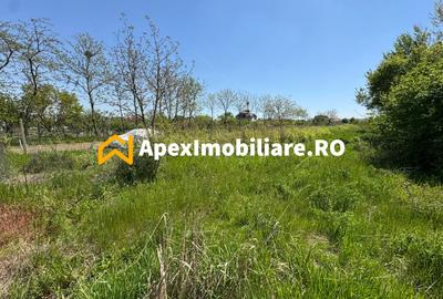 Teren Construcții intravilan de 1663 mp, în Cornetu - 7
