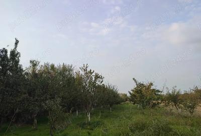 Casa de vanzare - 3