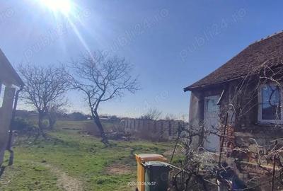 Casă cu 2 camere cu Teren 1800 Mp în Pădureni - 7