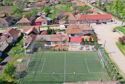 PROPRIETATE CU AFACERE FUNCTIONALA DE - PETREU, LANGA MARGH - 8