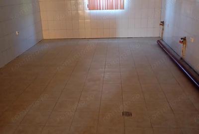 Spațiu comercial, de 400 mp, în Topleț - 5