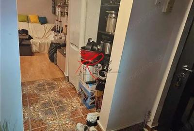 Vanzare apartament 2 camere renovat Lacul tei Grigore Moisil - 4