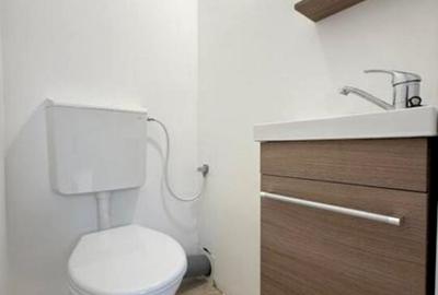 Apartament duplex de vânzare – zonă centrală, Titulescu – Alexandru Ioan Cuza - 8