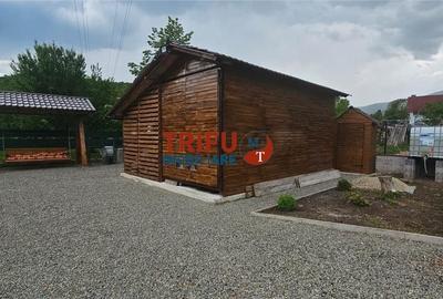 Casă cu 1 camere cu Teren 1335 Mp în Ighiu - 11
