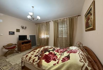 Casa individuala 2 camere, 80mp utili, 997 teren in Utvin - 3