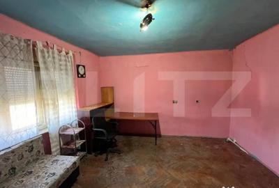 Casă cu 2 camere cu Teren 1500 Mp în Botizului - 6