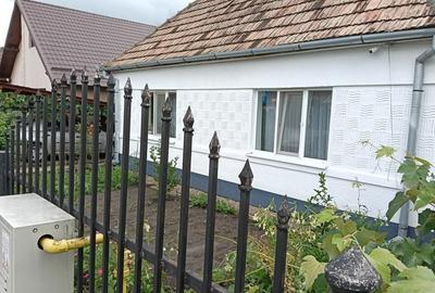 Casă cu 2 camere în Central - 1