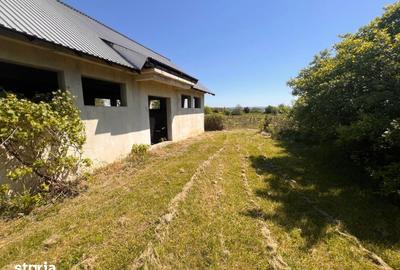 Casă cu 4 camere cu Teren 2704 Mp în Orlești - 3