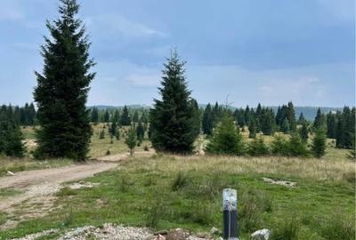 Teren de 2300 mp, în Beliș - 2