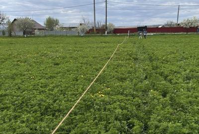 Teren de 700 mp, în Săucești - 8