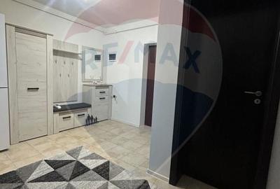 Apartament cu 2 camere decomandat, mobilat în Sânpetru - 14