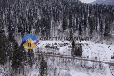 Teren Construcții intravilan de 2283 mp, în Tarcău - 4