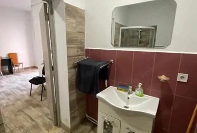 Apartament cu 2 camere zona DECEBAL la parter - 6