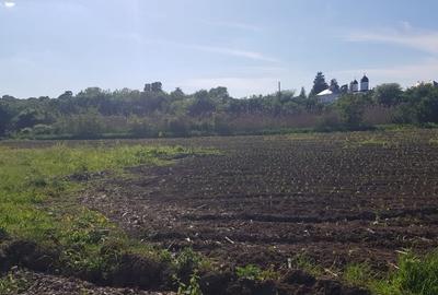 Ciolpani- Drumul Piscului patru loturi teren de la 896 mp pana la 977 mp - 7