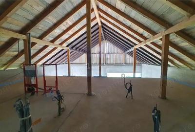 Casa cu teren - ST 329 mp - TEREN 23 ari - Moara - 19