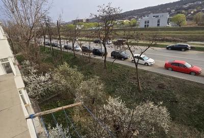 Garsonieră decomandată în Alexandru cel Bun - 6