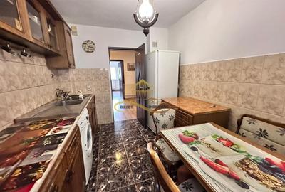 Apartament cu 3 camere decomandat, mobilat în Mioriței - 7