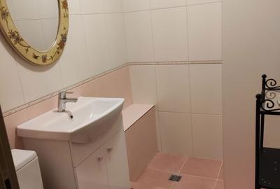Apartament cu 2 camere semidecomandat, mobilat în Parcul Circului - 8
