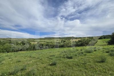 Teren de 2431 mp, în Chinteni - 2