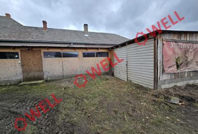 Casă cu 3 camere cu Teren 3233 Mp în Central - 9