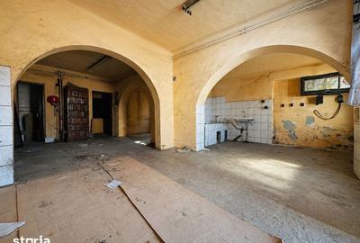 Spațiu comercial, de 150 mp, în Iorga - 6