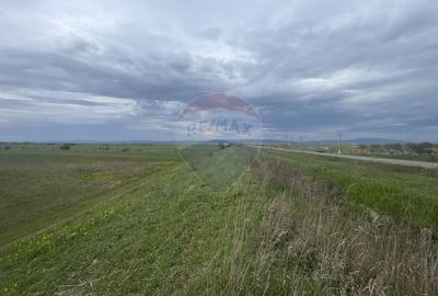 Teren Focsani / Drumul Suraii / Mandresti str Nuferilor - 2