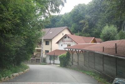 Teren agrement padure langa Strandul Termal Caciulata - 3