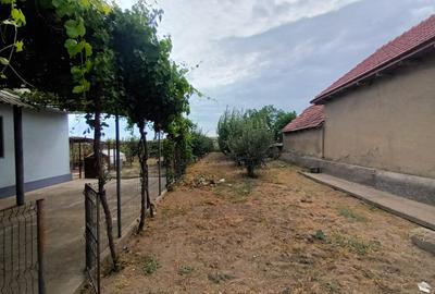 CONSTANTA - NISIPARI CASA 2 CAMERE TEREN 1.433 MP LA PRET DE APARTAMENT 64.500 E - 9