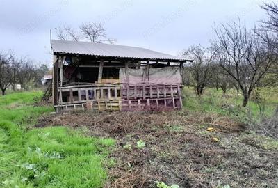 Casă cu 3 camere cu Teren 15000 Mp în Bărcănești - 14