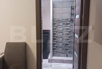 Apartament cu 3 camere semidecomandat, mobilat în Fabric - 10