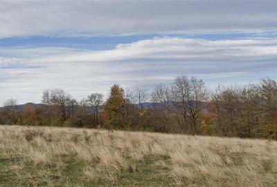 11.600mp teren, partial extravilan,Valea Mare Pravat, 2 km de Campulung Muscel - 5