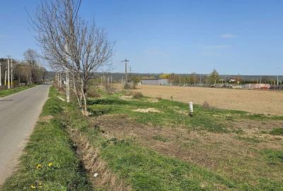 Spațiu comercial, în Gârleni - 6