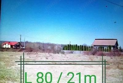 Teren de 1700 mp, în Bascov - 3