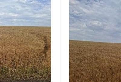 Teren Extravilan Pribesti, ID: R2774827 - 6