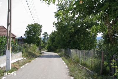 Teren de 5844 mp, în Valea Danului - 3