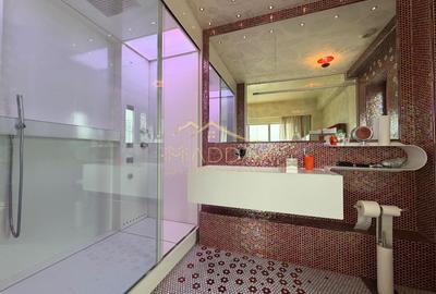Penthouse cu 4 camere decomandat, mobilat în Floreasca - 51