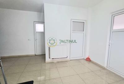 Cazare Echipe 10 Pers  Sibiu, Gara Mică- Targul Obor - 7