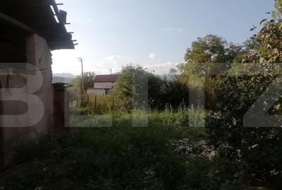Casa 85 mp, 3 camere, baie 1000 mp teren, in Sard - 3