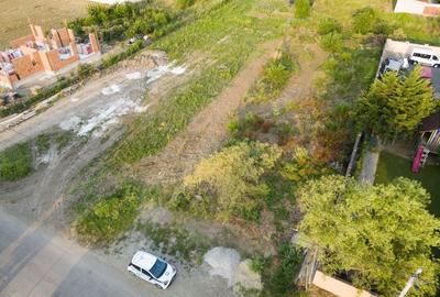 Teren intravilan de 996mp, Vladimirescu Teren intravilan de 996mp, Vladimirescu - 3