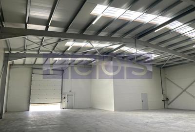 Spatiu industrial/ Depozit de inchiriat in Chiajna - 6