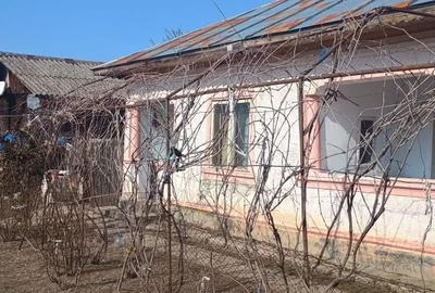 Casă cu 2 camere în Socetu - 3