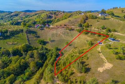 Teren extravilan 6,014mp | Holbav | BRASOV | COMISION 0| - 12