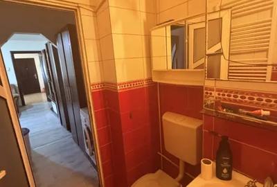 Apartament cu 2 camere semidecomandat în Craiovița Nouă - 1