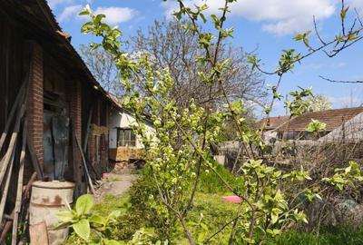 Casă cu 4 camere în Colibași - 8