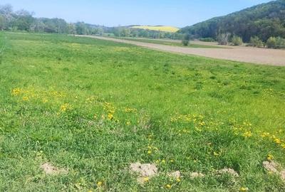 Teren de 10000 mp, în Berești - 1