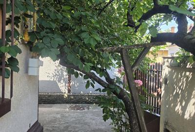 Casă individuală cu 3 camere cu Canalizare în Vatra Luminoasă - 17
