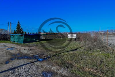 Teren Construcții intravilan de 10001 mp, în Vest - 4