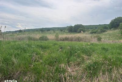 Teren de 1400 mp, în Gheorgheni