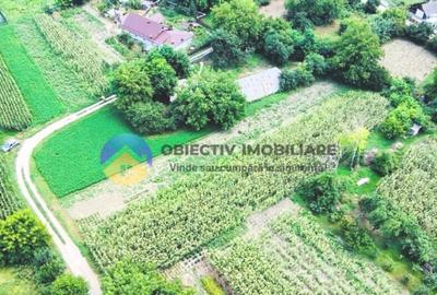 TEREN intravilan GIROV 4133 mp - 5