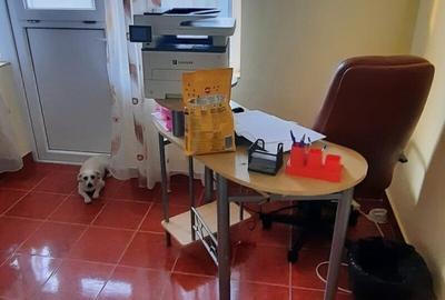 Luica, Zetari, vis a vis de Petrom - 2